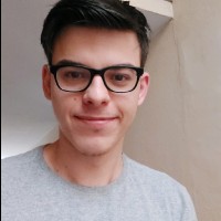 Vinícius Goulart Nardelli