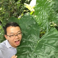 滕志成