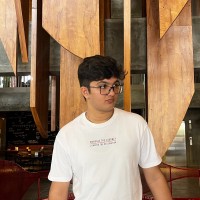 Vineet Mehta