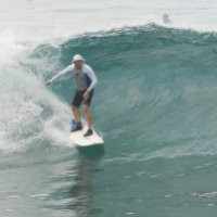 Andrew Allison