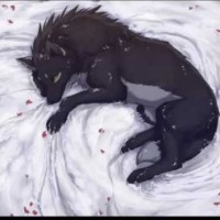 Sky Wolf