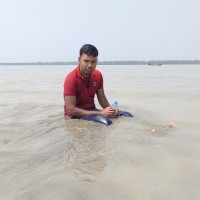 Amir Ali