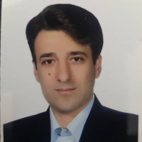 Morteza Majidi