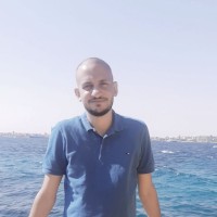 Sary Hassan
