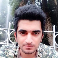 Mr Hamza