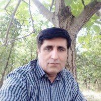 Mohsen Mirzaei