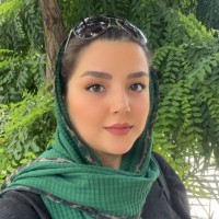 Mehrsa Rahimi