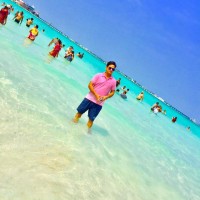 Satvik Certification