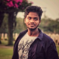 Saran Raj