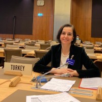 Elif Gursoy