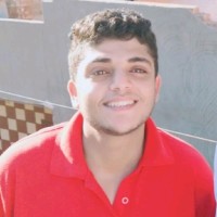 Muhamed Ramzy Lashin