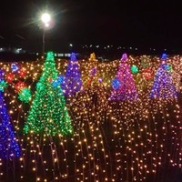 John Marion Capunitan