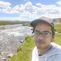 Faisal Naseer