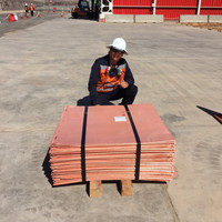 Diego Sebastián Barraza Ramírez