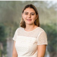 Dani Cohen
