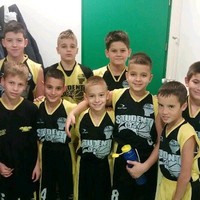 Voin Pro Games