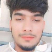 Muhammad Adil Javed