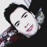 Diego Fernando Hoyos Rodriguez