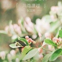 高顺旭