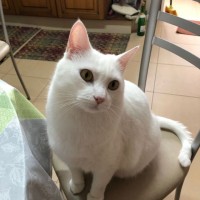 José Antonio Tascón