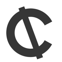 CARVE Professional Services