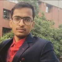Nirbhay P.