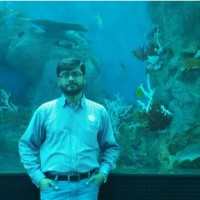 Abid Raza Rizvi