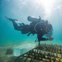 María Gabriela Moreno Ávila