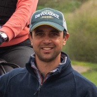 Daniele Bizzarro