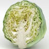 Cabbage Man