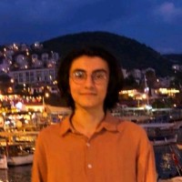 Ali Arda Ciritcioğlu