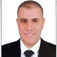 Hany Abdelghany