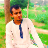 Shajib Alam