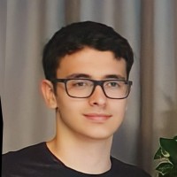Pedro Henrique Avi de Sousa