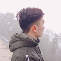 Nguyen Viet Son