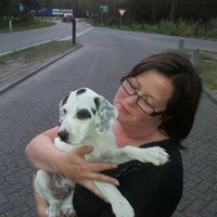 Angeline Van Kooten