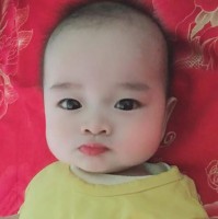 Robert Lee