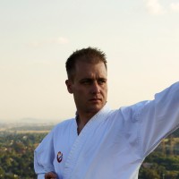 Nicholas Gaston-Bellegarde