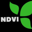 New Dawn Ventures Inc.