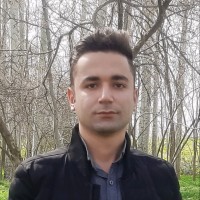 Amir Mohammad Valipour
