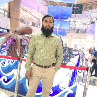 Sayeed Raju