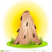 Ant Hill