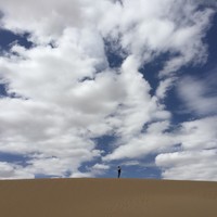 李勃儒