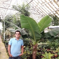 Hady Adiban
