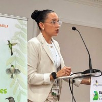 Anne-Isabelle Bonifassi