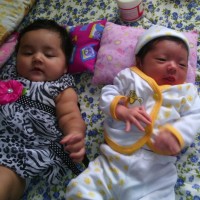 ROSA AMALIA GUEVARA MUÑOZ