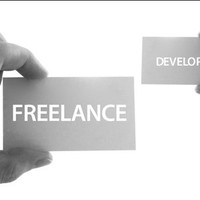 Freelence Developer