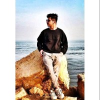 Hamid Alam