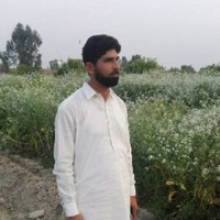 Liaqat Hayat