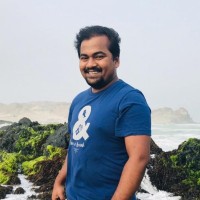 Himadri Pal